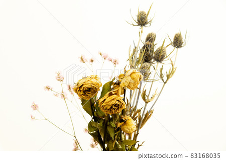 玫瑰乾花 83168035