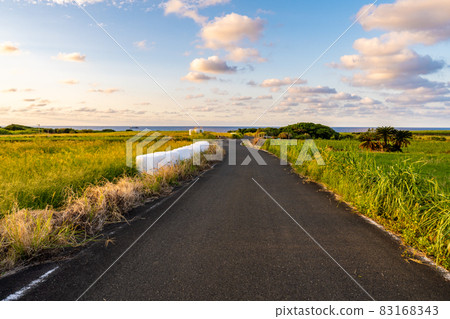 Farm road leading to the sea on the southern island (Okinoerabujima, Kagoshima Prefecture) Farm road leading to the sea on the southern island (Okinoerabujima, Kagoshima Prefecture) 83168343