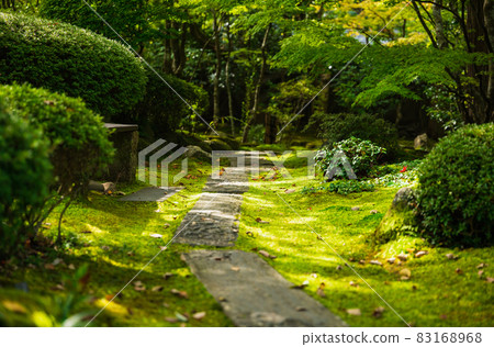 Autumn Matsushima Entsuin Garden 83168968