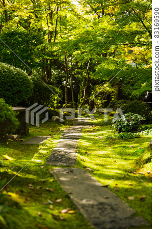 Autumn Matsushima Entsuin Garden 83169590