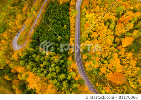 Aerial view of the autumn forest and road between the hills. Aerial view of the autumn forest and road between the hills. 83170060