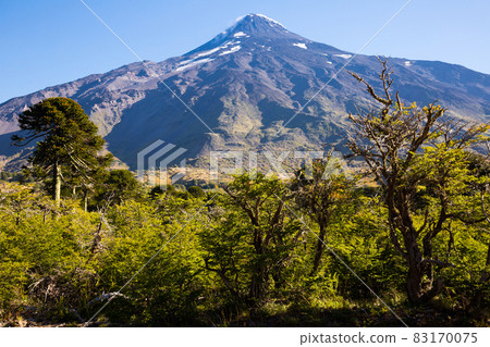 Lanin volcano in the Andes Lanin volcano in the Andes 83170075