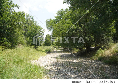 A dry river on a trail course in San Antonio, Texas 83170103