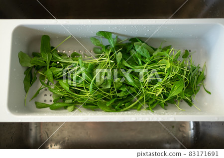 Green salad in a colander. Washing leaves for breakfast. Green salad in a colander. Washing leaves for breakfast. 83171691