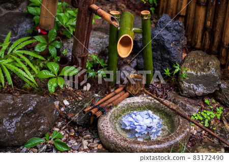 Hydrangea soaked in water Hydrangea soaked in water 83172490
