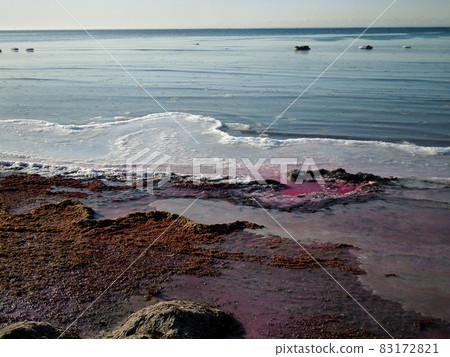 Purple ice on the shore. Purple ice on the shore. 83172821