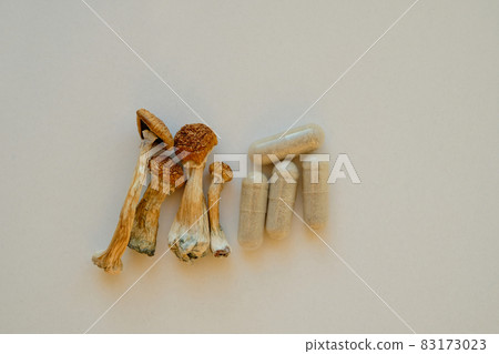 Micro dosing concept. Dry psilocybin mushrooms and herbal pills on ivory background. 83173023