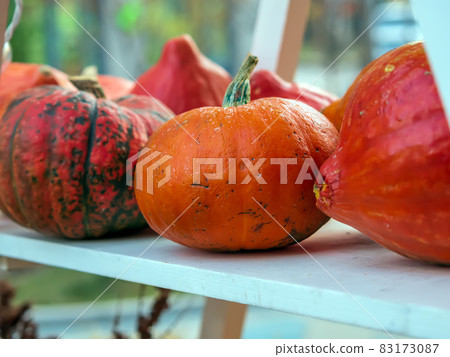 Pumpkins are on a shelf at the farmers' market. Halloween sale. Close-up. 83173087