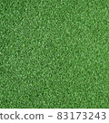 Green background with textured and shiny surface. 83173243