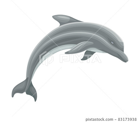 Oceanic Dolphin as Aquatic Placental Marine Mammal with Flippers and Large Tail Fin Closeup Vector Illustration Oceanic Dolphin as Aquatic Placental Marine Mammal with Flippers and Large Tail Fin Closeup Vector Illustration 83173938