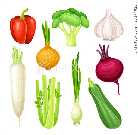 Ripe Vegetable as Healthy Raw Food and Garden Cultivar Vector Set 83174022
