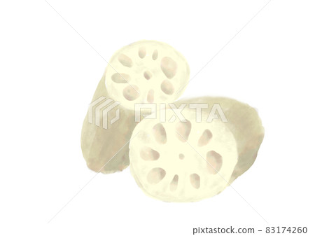 手繪蓮藕 83174260