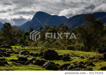 Beautiful landscape at the Cocora Valley with the famous Morrogacho Hill on the background Beautiful landscape at the Cocora Valley with the famous Morrogacho Hill on the background 83174345