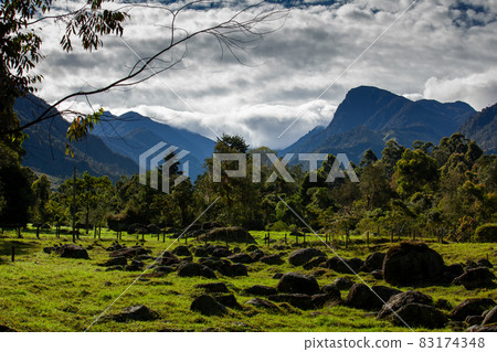 Beautiful landscape at the Cocora Valley with the famous Morrogacho Hill on the background 83174348