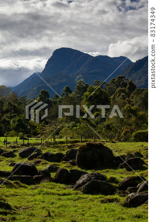 Beautiful landscape at the Cocora Valley with the famous Morrogacho Hill on the background 83174349
