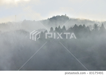 Onoyama in Tanzawa Mountain fog landscape 83175491