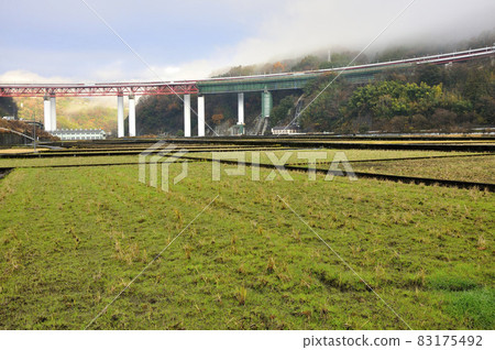 Yaga farmland in Yamakita Town, Kanagawa Prefecture and Tomei Sakawagawa Bridge on the Tomei Expressway 83175492