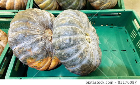 Two pumpkins are placed on the shelf. Two pumpkins are placed on the shelf. 83176087