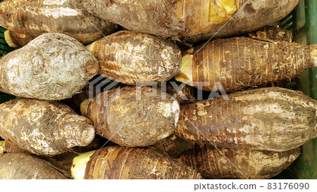 Taro are arranged in a row for sale in a grocery store. Taro are arranged in a row for sale in a grocery store. 83176090