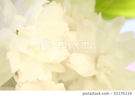 市原虎尾櫻花春天市原虎尾 83176139
