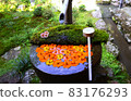 Kyoto Yanagidani Kannon Hanatemizu Kyoto Yanagidani Kannon Hanatemizu 83176293
