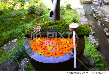 Kyoto Yanagidani Kannon Hanatemizu Kyoto Yanagidani Kannon Hanatemizu 83176293