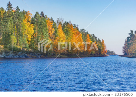 Trees on the cliffs of Lake Ladoga at autumn evening. Republic of Karelia. Russia. Trees on the cliffs of Lake Ladoga at autumn evening. Republic of Karelia. Russia. 83176500