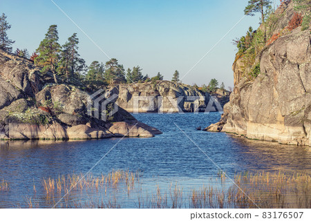 Pine trees on the cliffs of Lake Ladoga at autumn evening. Republic of Karelia. Pine trees on the cliffs of Lake Ladoga at autumn evening. Republic of Karelia. 83176507
