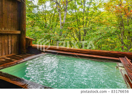 Kousa dogwood seen from the open-air bath 83176656