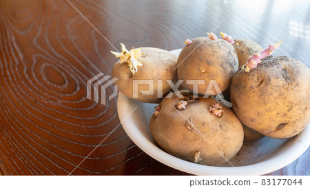 Buds of potatoes 83177044