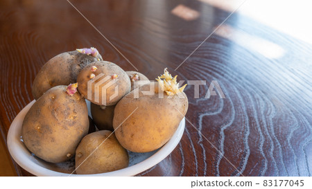 Buds of potatoes 83177045