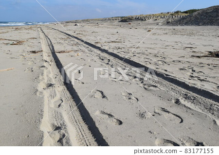 Sandy beach 83177155