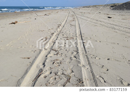 Sandy beach 83177159