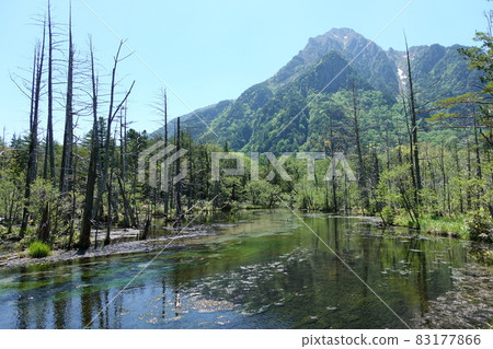 [Nagano Prefecture] Kamikochi [Sightseeing] 83177866