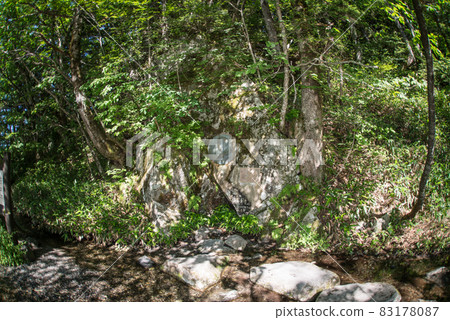 I walked in the woods from Taisho Pond to Kappa Bridge in Kamikochi in the early morning. 83178087