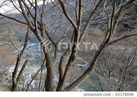 Kyoto Sagano Hozugawa Kyoto Sagano Hozugawa 83178096