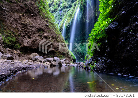 Madakaripura Waterfall (Probolinggo) is the tallest waterfall in deep Forest in East Java, Indonesia. Madakaripura Waterfall (Probolinggo) is the tallest waterfall in deep Forest in East Java, Indonesia. 83178161