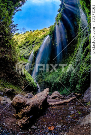 Madakaripura Waterfall (Probolinggo) is the tallest waterfall in deep Forest in East Java, Indonesia. Madakaripura Waterfall (Probolinggo) is the tallest waterfall in deep Forest in East Java, Indonesia. 83178162