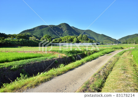 Yotsuka Mountain Range, Yugawayama, Munakata City, Fukuoka Prefecture 83178214