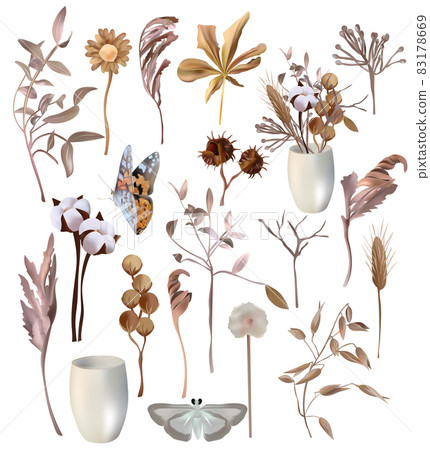 Set of decoration leaves. Cotton, dry herbs, decoration flower, tree branch butterfly. Vector icons. 83178669