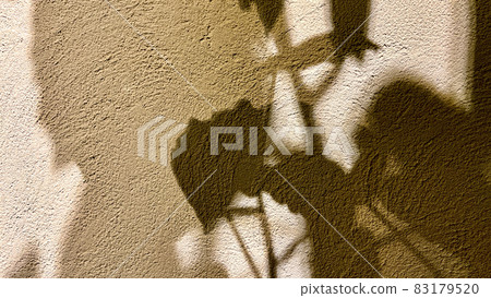 Silhouette light and shadow foliage plant Umbellata background material Silhouette light and shadow foliage plant Umbellata background material 83179520