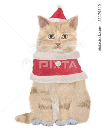 Santa cat tea tiger 83179849