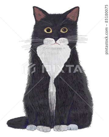 Black and white cat sitting in front _ real touch 83180075
