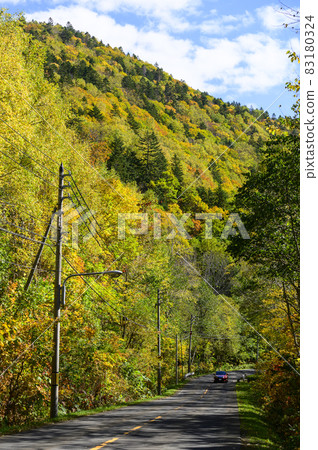 Autumn leaves of Asari Pass in Hokkaido Autumn leaves of Asari Pass in Hokkaido 83180324