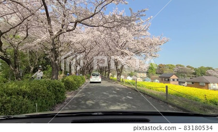 春日 春日 83180534