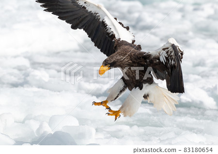 知床冬天 83180654