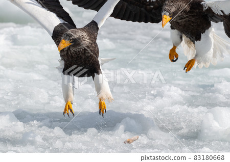 知床冬天 83180668