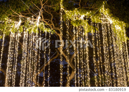 Decorative outdoor string lights hanging on tree in the garden at night time Decorative outdoor string lights hanging on tree in the garden at night time 83180919
