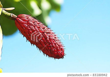 粉彩般的“玉蘭紅果”插圖圖像 83180942