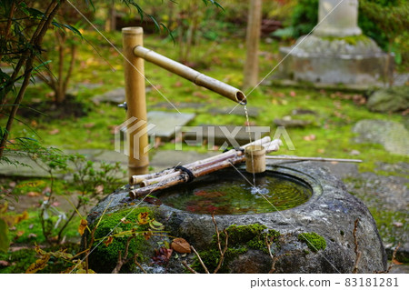 石川縣和倉清林寺院內的築梅 83181281